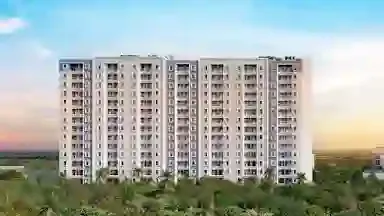 AV Anandam