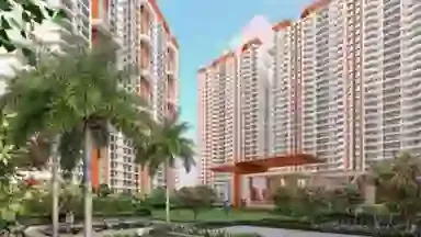 Nyati Emerald