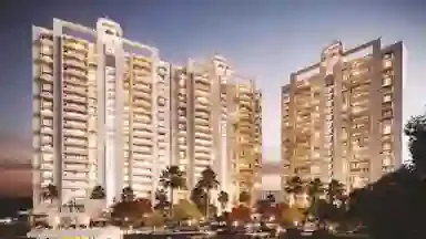 Lodha Estilo