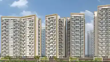 Purva Silversands