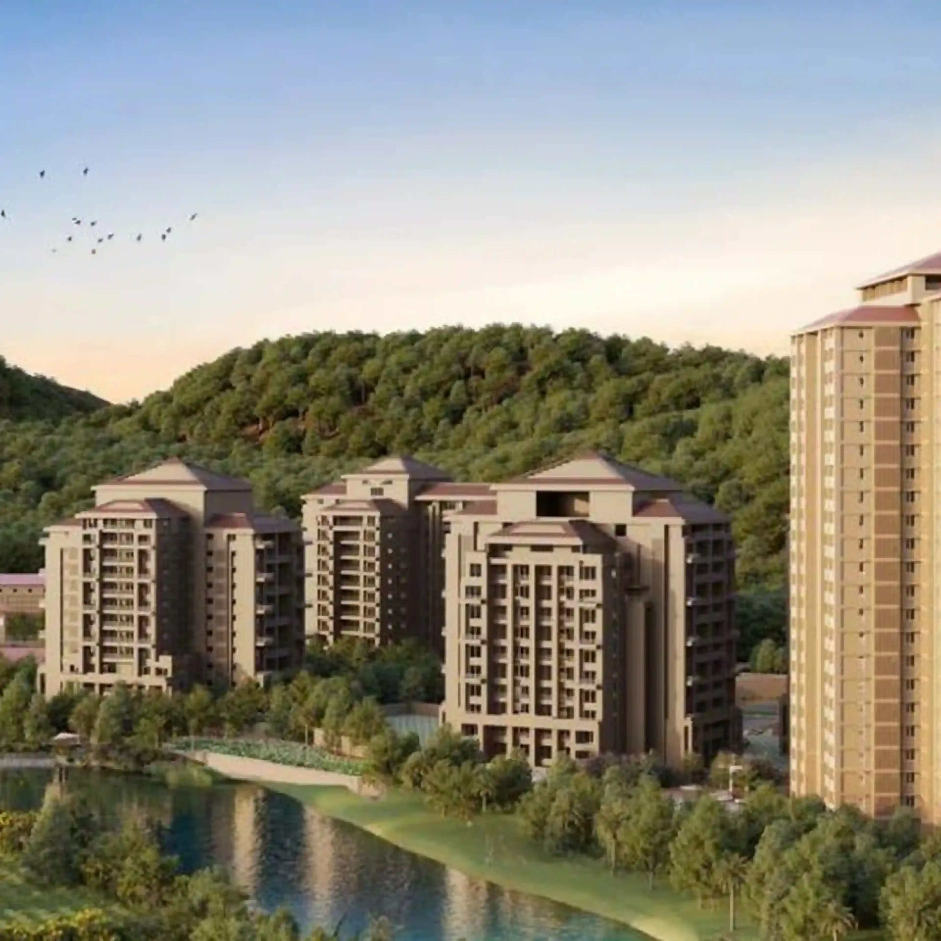 Skyi Songbirds Phase E