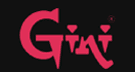 Gini Constructions